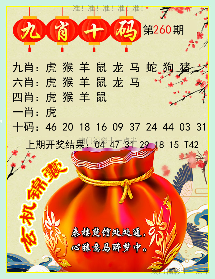 九肖十码